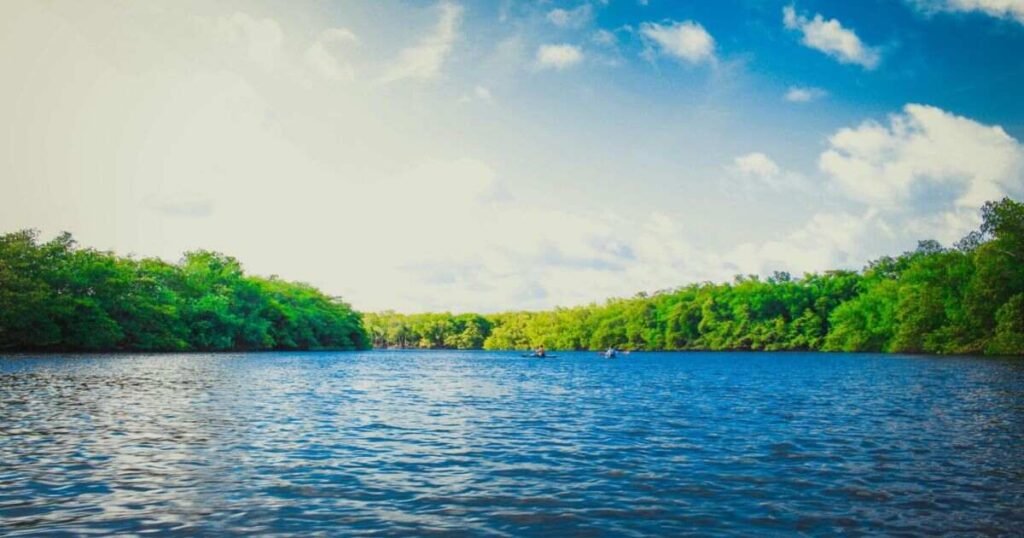 Dive into the Best River Puns Around